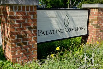 Palatine Commons