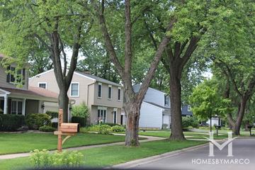 Briarcliffe subdivision in Wheaton, IL
