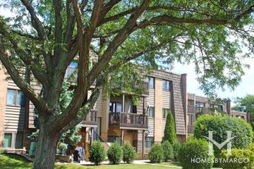 Drake Terrace subdivision in Wheaton, IL