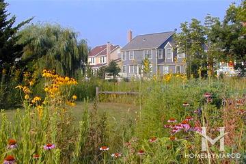 Prairie Crossing subdivision in Grayslake, IL