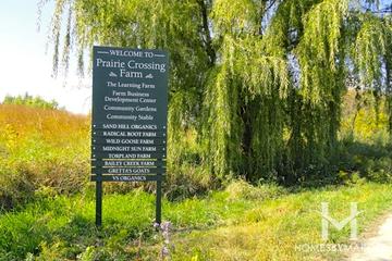 Prairie Crossing subdivision in Grayslake, IL