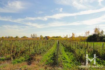 Prairie Crossing subdivision in Grayslake, IL
