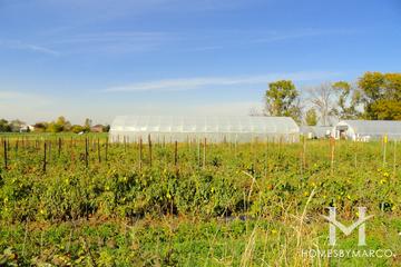 Prairie Crossing subdivision in Grayslake, IL