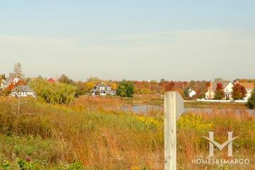 Prairie Crossing subdivision in Grayslake, IL