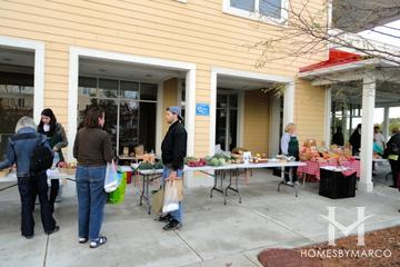 Prairie Crossing subdivision in Grayslake, IL