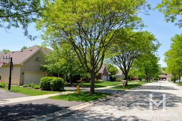 Wheaton Crossing subdivision in Wheaton, IL