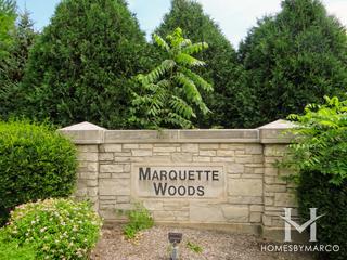 Marquette Woods