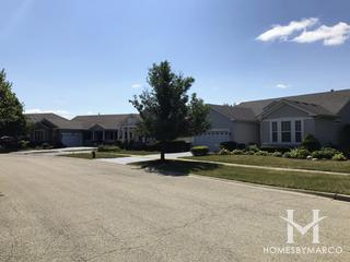 River Run subdivision in Oswego, IL