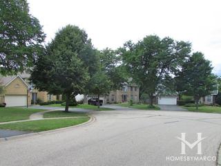 Foxcroft subdivision in Cary, IL