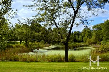 Flint Crossing subdivision in Lake Zurich, IL