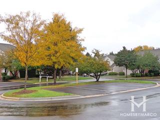Concord Station subdivision in Streamwood, IL