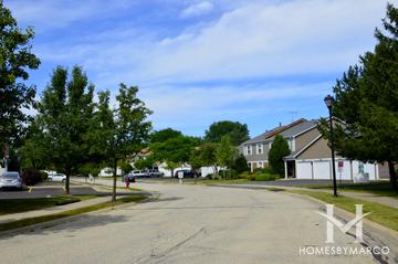 Deer Run subdivision in Palatine, IL