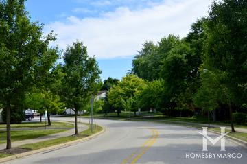 Deer Run subdivision in Palatine, IL