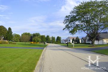 Summerhill Estates subdivision in Mundelein, IL