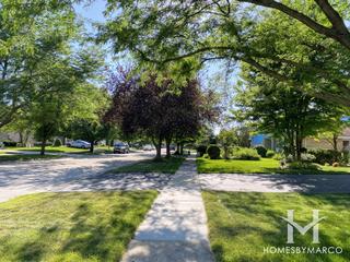 Alpine Estates subdivision in Lemont, IL
