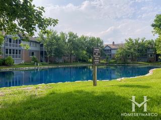 Chasemoor subdivision in Burr Ridge, IL