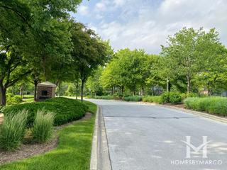 Chasemoor subdivision in Burr Ridge, IL