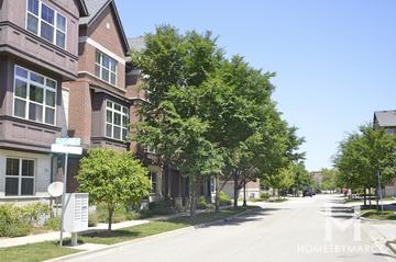 Aspen Pointe subdivision in Vernon Hills, IL