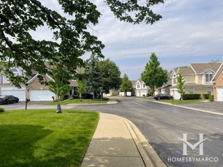 Citadel on the Pond subdivision in Westmont, IL