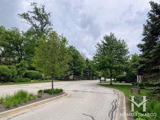 Breton Lakes subdivision in Willowbrook, IL