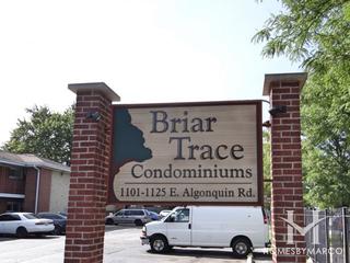 Briar Trace