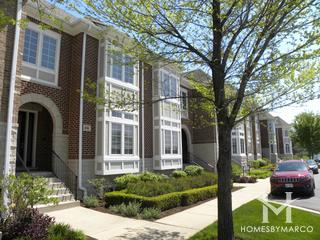 Carlyle at Stonegate subdivision in Arlington Heights, IL