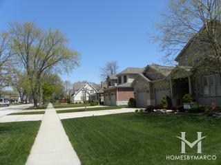 Virginia Terrace subdivision in Arlington Heights, IL