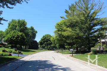 Paradise Park Estates subdivision in Libertyville, IL