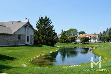The Pines subdivision in Tinley Park, IL