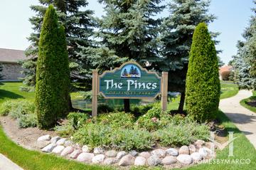 The Pines