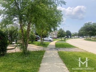 Woodlands of the Reserve