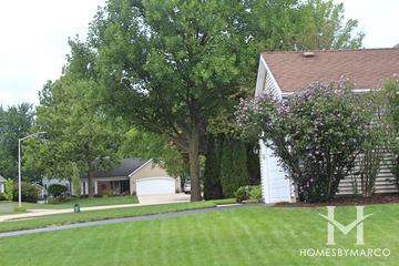Scottdale subdivision in Wheaton, IL