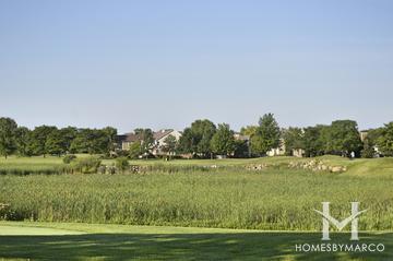 Greggs Landing subdivision in Vernon Hills, IL