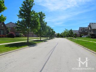 Greggs Landing subdivision in Vernon Hills, IL