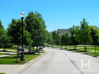 Greggs Landing subdivision in Vernon Hills, IL