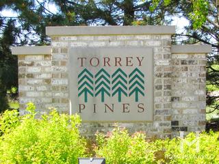 Torrey Pines