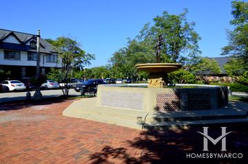 Photos of Regents Row subdivision in Lake Forest, IL