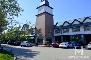 Regents Row subdivision in Lake Forest, IL