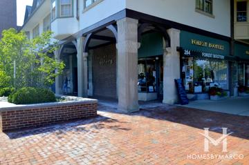 Regents Row subdivision in Lake Forest, IL