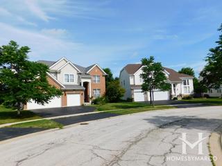 Madrona Ridge subdivision in Round Lake, IL