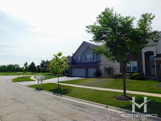 Madrona Ridge subdivision in Round Lake, IL