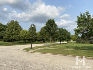 McKenna Woods subdivision in Plainfield, IL