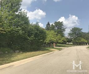 Hawthorn Meadows subdivision in Highland Park, IL