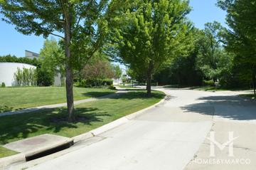 Red Oak Manor subdivision in Highland Park, IL