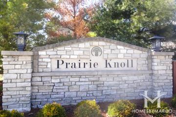 Photos of Prairie Knoll subdivision in Plainfield, IL