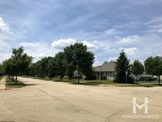 Steeplechase subdivision in Oswego, IL