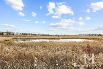 Steeplechase subdivision in Oswego, IL