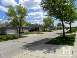 Grand Reserve subdivision in Algonquin, IL