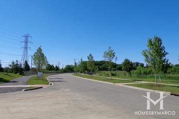 Emerald Bay subdivision in Round Lake, IL