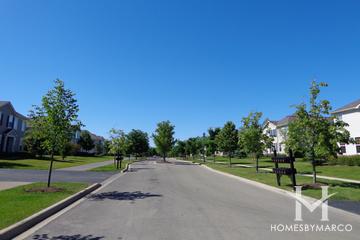 Emerald Bay subdivision in Round Lake, IL